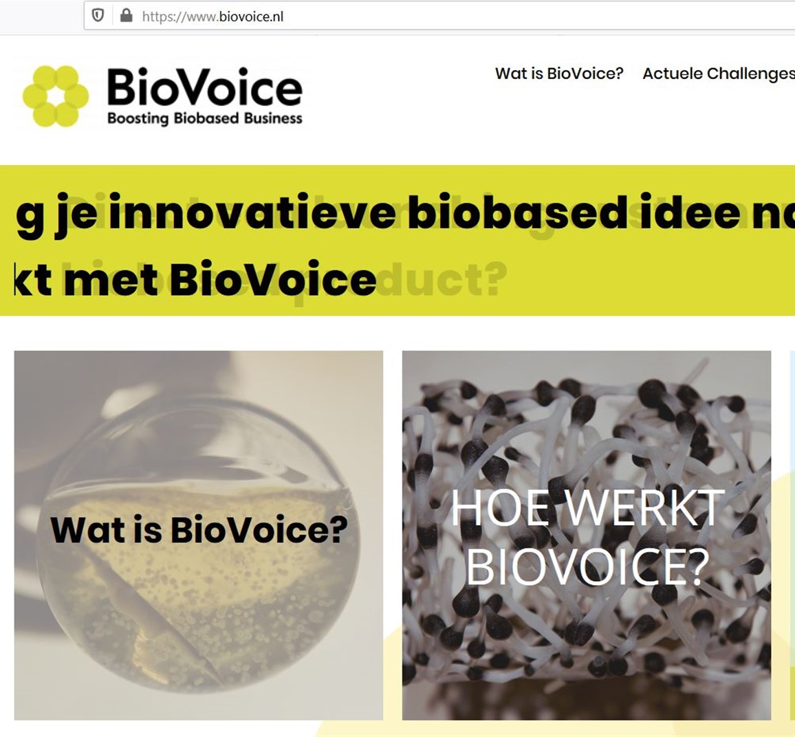 BioVoice website