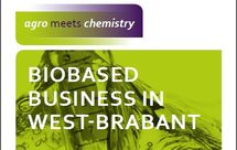 BBI uitgave nov 2015_1