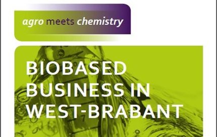 BBI uitgave nov 2015_1